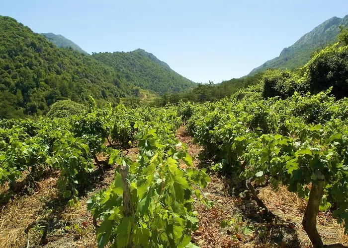 Hébergement de vacances In Karbuni With Sea View, Balcony, Air Conditioning, Wifi 5095-2 *